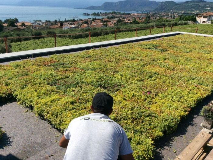 Archisio - Protego srl - Progetto Villa panoramica con tetto in soluzione giardino a basso spessore