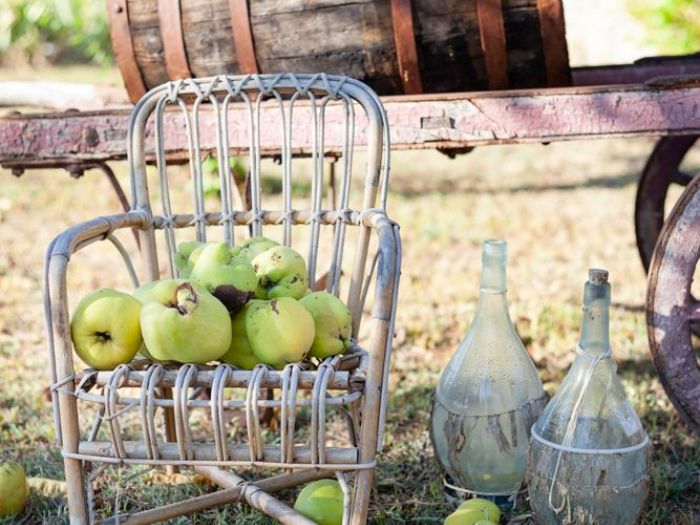 Archisio - Giacomo Ciolfi - Progetto Podere sanbartolomeo capraia e limite - firenze