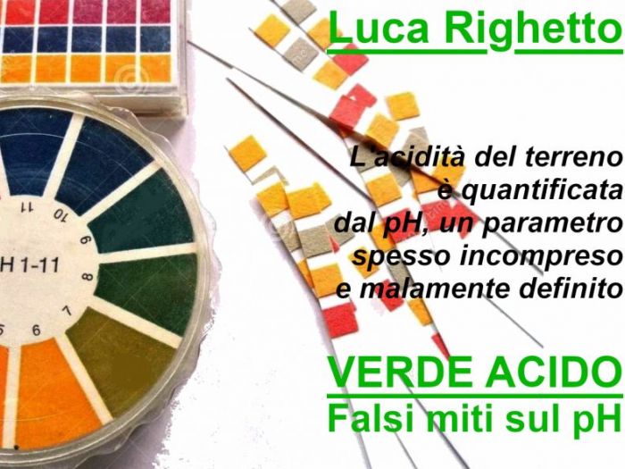 Archisio - Luca Righetto - Progetto Pensieri e considerazioni su piante e giardini Link agli articoli in httpsprogettazione-spazi-verdibusinesssiteutmsourcegmbutmmediumreferral