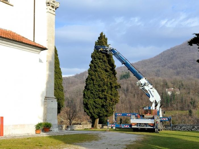 Archisio - Il Dottore Del Verde Di Bruno Barnaba - Progetto Abbattimento cedro monumento sisma 1976
