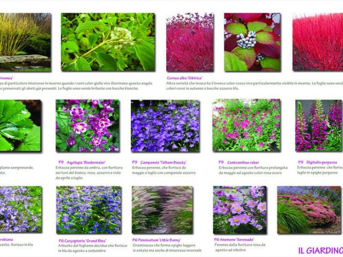 Archisio - Aapaesaggi - Progetto Geometrie naturali in giardino-giardino privato in canavese