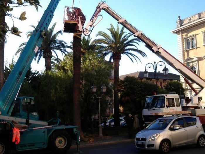 Archisio - Impresa Edile Regonini - Progetto Piattaforme aeree autocarrate