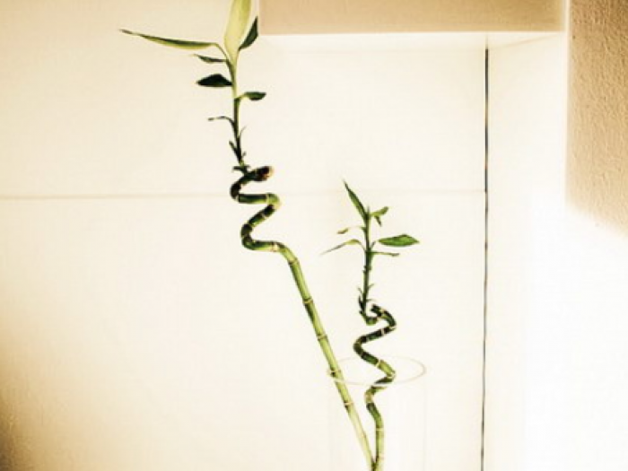 Archisio - Enrico Girardi - Progetto Arredi