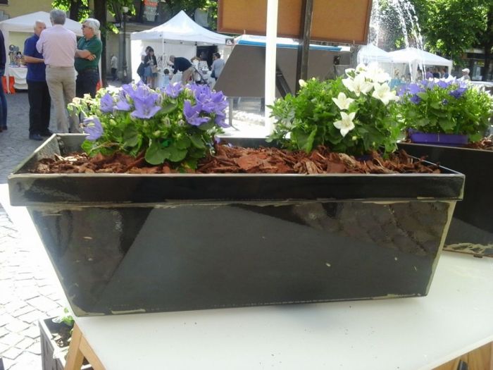 Archisio - Argentero Carpenteria Metallica - Progetto Arredamento interni