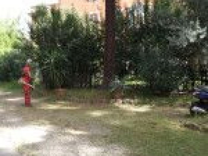 Archisio - Mageris srl - Progetto Pulizie giardini via casilina