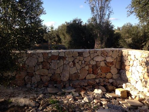 Archisio - Eco Service Srlu - Progetto Muretto a secco