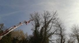 Archisio - Giobbi Massimo - Progetto Lavori generici