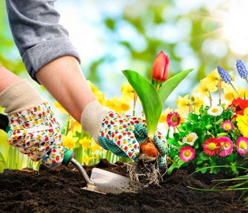 Archisio - Piccoli E Grandi Lavori Edili srl - Progetto Piccoli e grandi lavori edili