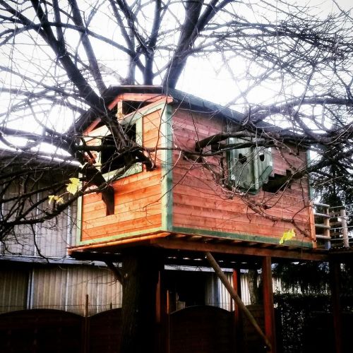 Archisio - Cereda Legnami - Progetto Casetta in legno su misura