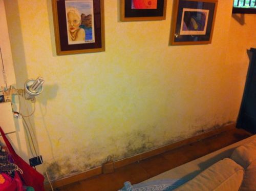 Archisio - Mursan srl - Progetto Intervento per la risoluzione di muffe eseguito a castelletto ticino no