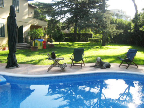 Archisio - Edil Rocchi - Progetto Realizzazione completa di piscine