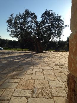 Archisio - Italmarmi srl - Progetto Rivestimenti e pavimentazioni