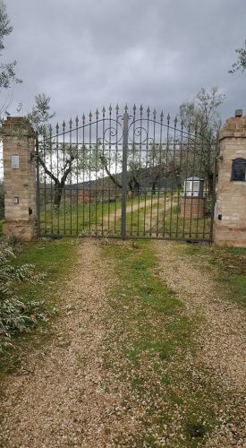 Archisio - Procafer - Progetto Cancello in ferro battuto a due ante