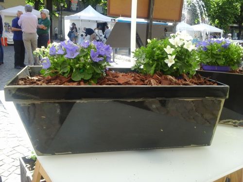 Archisio - Argentero Carpenteria Metallica - Progetto Arredamento interni