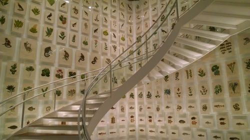 Archisio - Masu Andrea Marmi E Graniti - Progetto Costruzione di scale interne ed esterne