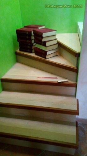 Archisio - Dilegnovivo - Progetto Scale