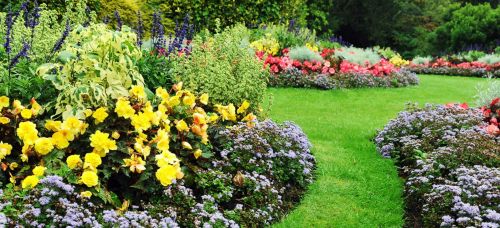 Archisio - Utic Di Crosa Damo - Progetto Giardinaggio biella