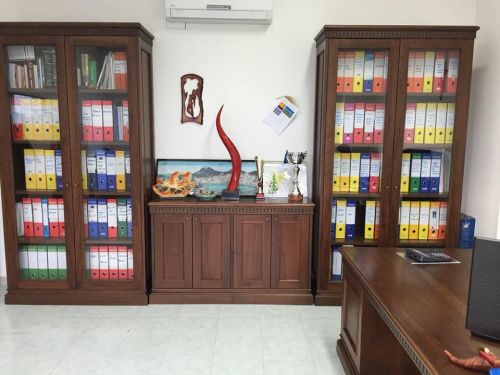 Archisio - Falegnameria Salvioli - Progetto Libreria