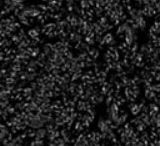 Archisio - Ares Costruzioni Generali srl - Progetto Conglomerati tradizionali bitume modificato cb 12 usura anas 4580 -75 fuso a