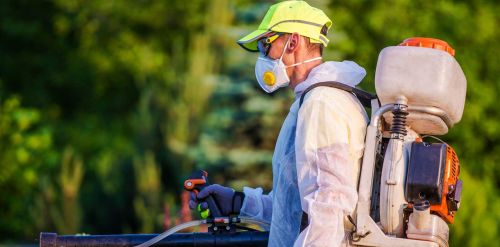 Archisio - Giesse Disinfestazioni - Progetto Derattizzazioni