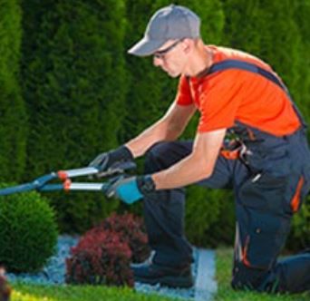 Archisio - Giardiniere Di Verdecchia Danilo - Progetto Potature