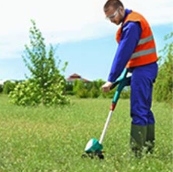 Archisio - Giardiniere Di Verdecchia Danilo - Progetto Manutenzione programmata