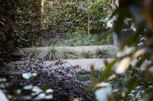 Archisio - Sos Piante - Progetto Giardino solari milano