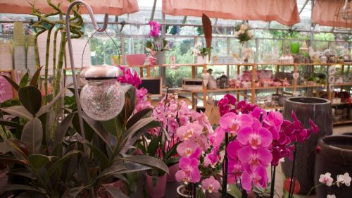 Archisio - Rf Giardini Fiori - Progetto Fioraio