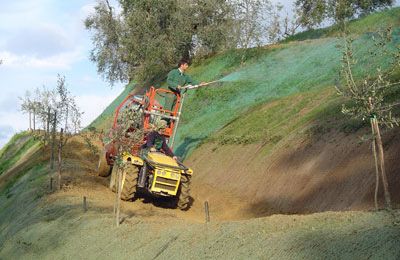 Archisio - Societ Agricola Colombini Ulisse srl - Progetto Servizi speciali