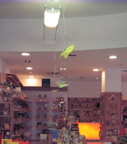 Archisio - Scintilla Impianti Elettrici - Progetto Impianto luci negozio