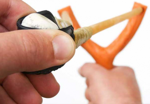 Archisio - Enrica Rolando Creative Designer - Progetto Web designer