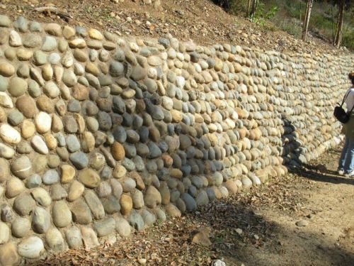 Archisio - Creoverde srl - Progetto Muro