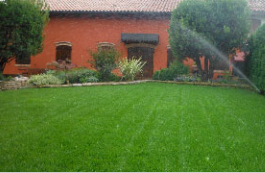 Archisio - Verde Acqua - Progetto Impianti di irrigazione