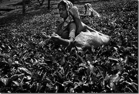 Archisio - Fotografi-dariocoletti - Progetto Foto