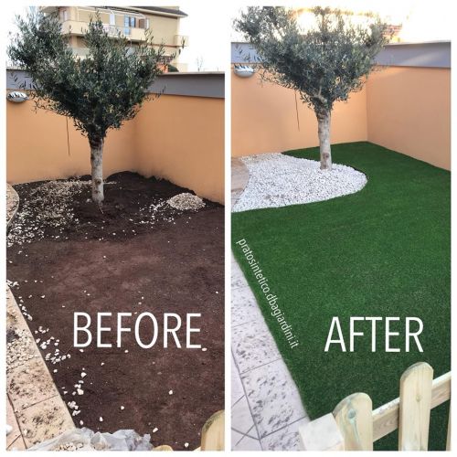 Archisio - Areaverde - Progetto Piante