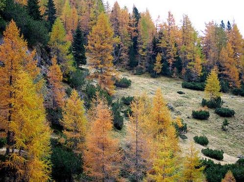 Archisio - Amp Studio Architettura Progettazione Ambientale - Progetto Progettazione ambientale