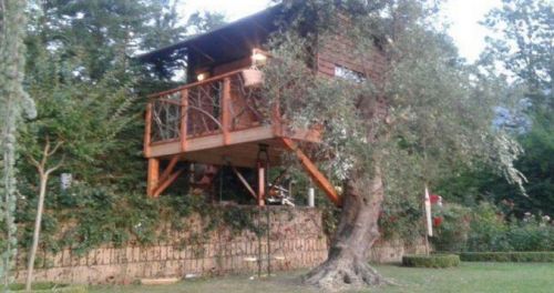 Archisio - Casalberi - Progetto Casetta sullolivo