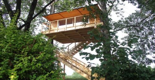 Archisio - Casalberi - Progetto Osservatorio faunistico