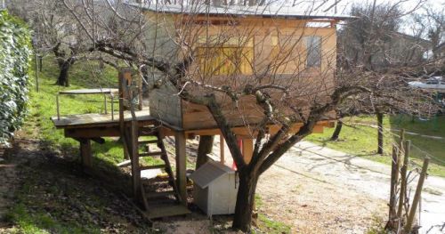 Archisio - Casalberi - Progetto Casetta sul noce