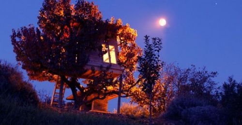 Archisio - Casalberi - Progetto Casetta sul caco