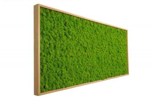 Archisio - Verde Passione - Progetto Quadri in moss