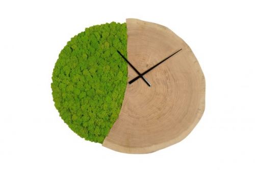 Archisio - Verde Passione - Progetto Moss oclock
