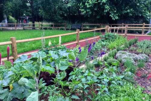 Archisio - Elisabetta Fermani - Progetto Giardino alzheimer