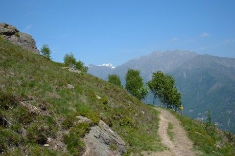 Archisio - Studio Di Agronomia E Architettura Del Paesaggio - Progetto Progetto paesaggio biellese