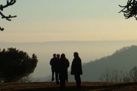 Archisio - Studio Di Agronomia E Architettura Del Paesaggio - Progetto Restauro giardino storico pubblico inizio 900