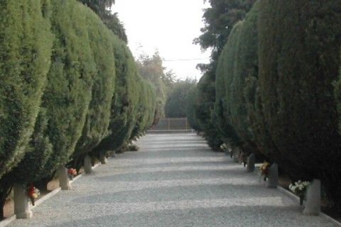 Archisio - Studio Di Agronomia E Architettura Del Paesaggio - Progetto Parcheggio verde