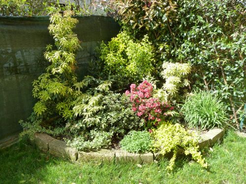 Archisio - Studio Di Achitettura Francesca Sciortino - Progetto Architettura del verde