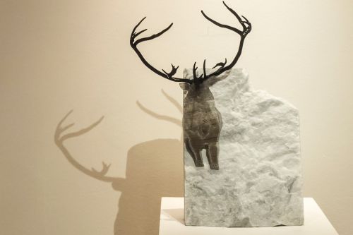 Archisio - Studio Cc - Progetto Cervo