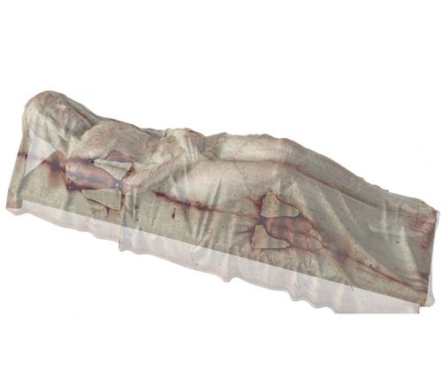 Archisio - Progetto Arte Poli srl - Progetto The shroud man