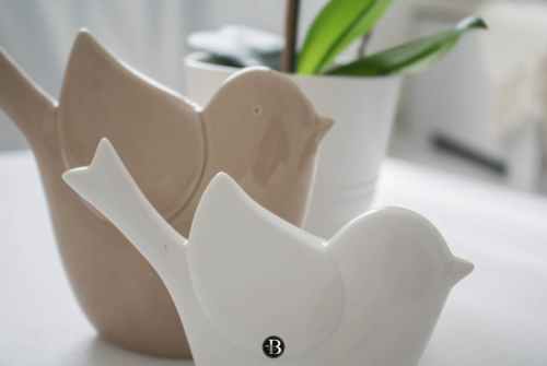 Archisio - Roberta Bossolasco - Progetto Giuliana